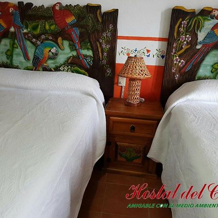Hotel Hostal Del Cafe Xilitla Dış mekan fotoğraf