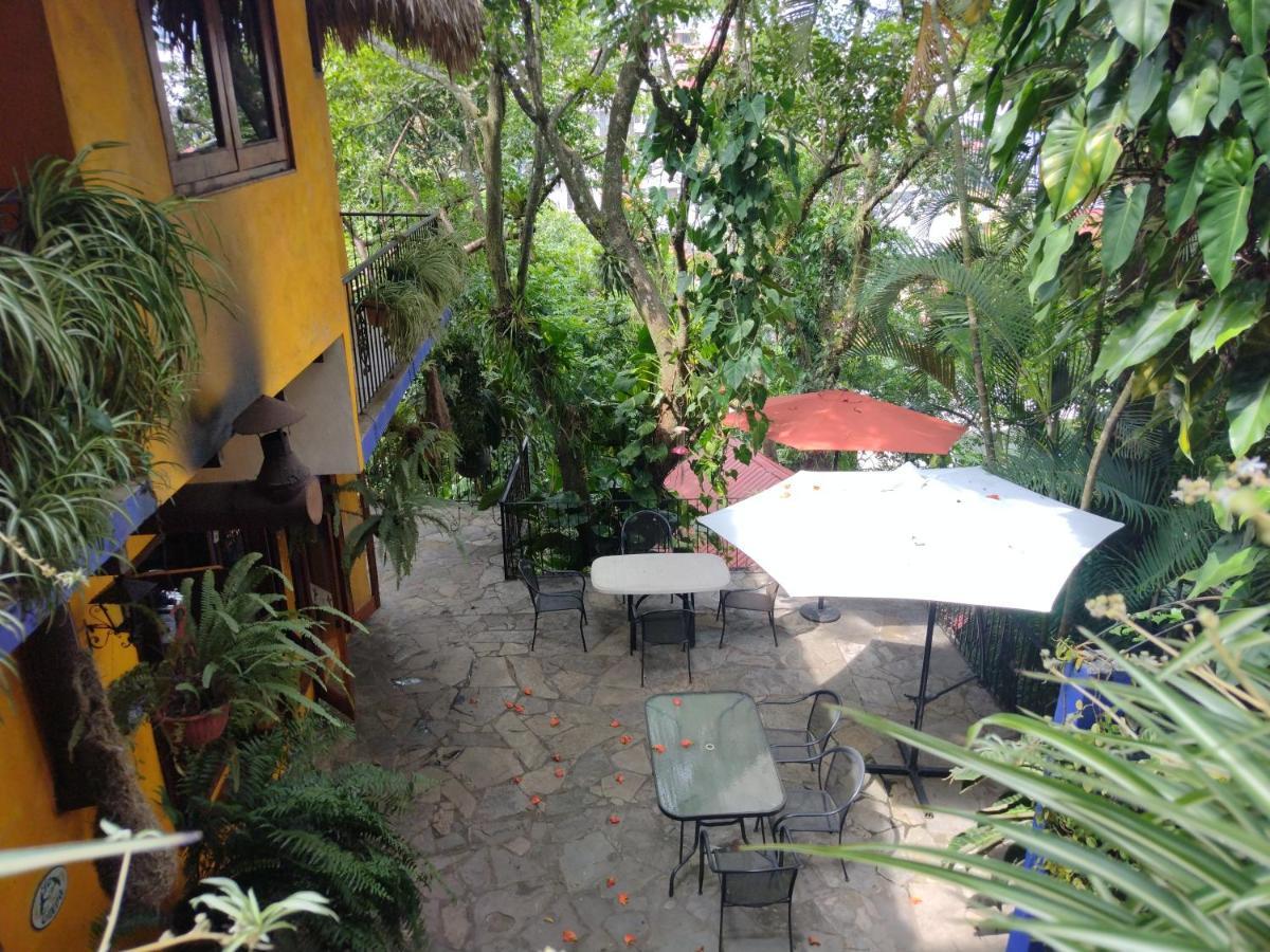 Hotel Hostal Del Cafe Xilitla Dış mekan fotoğraf